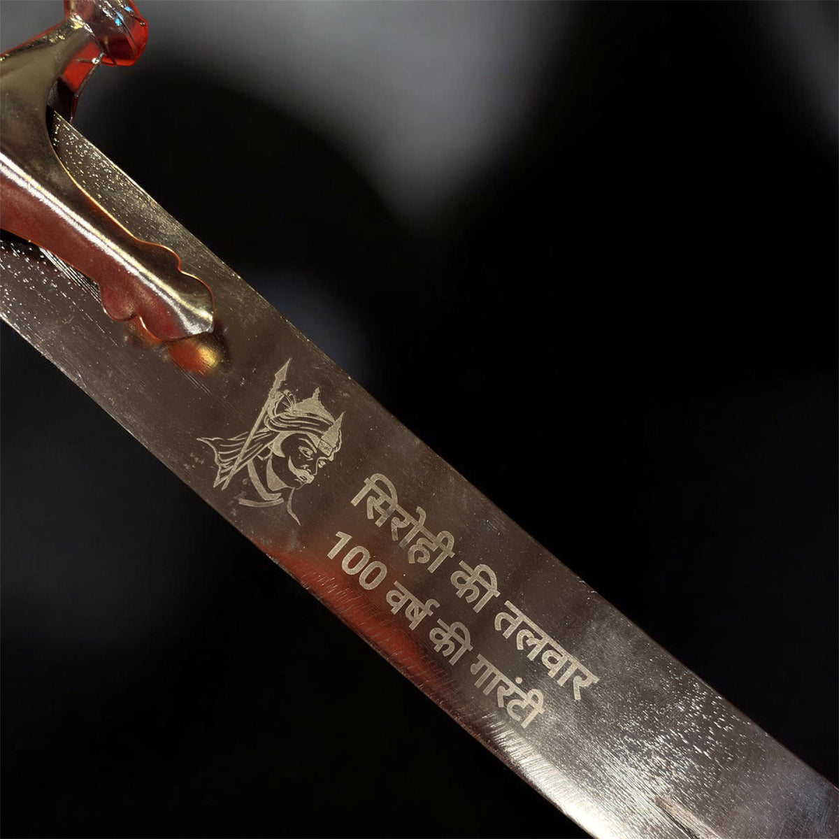 Maharana Pratap Branding 