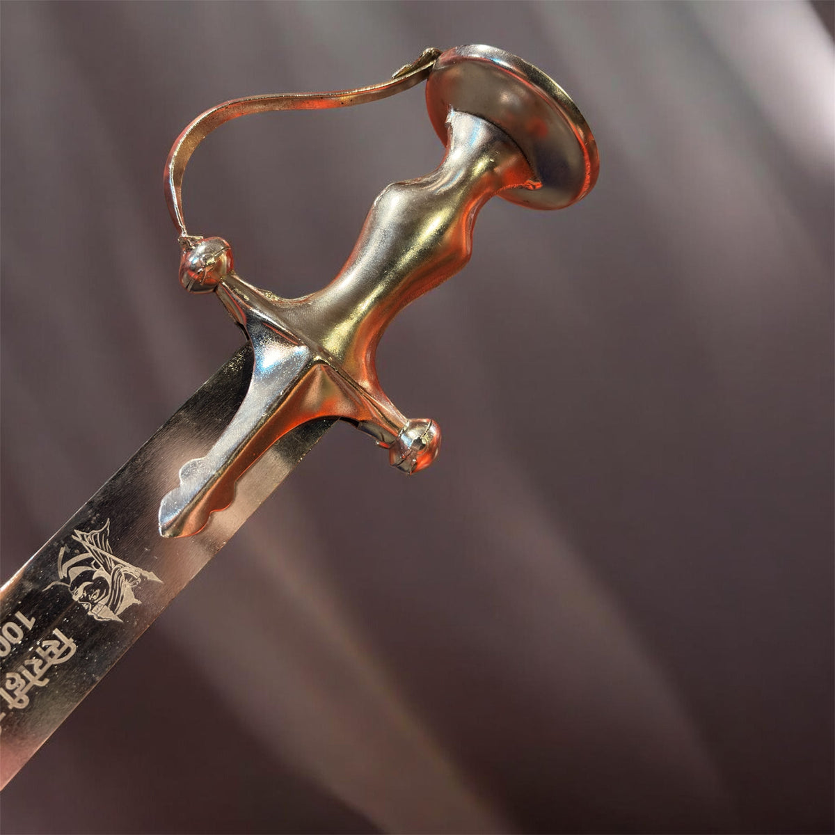 Maharana Pratap Branding ￼￼